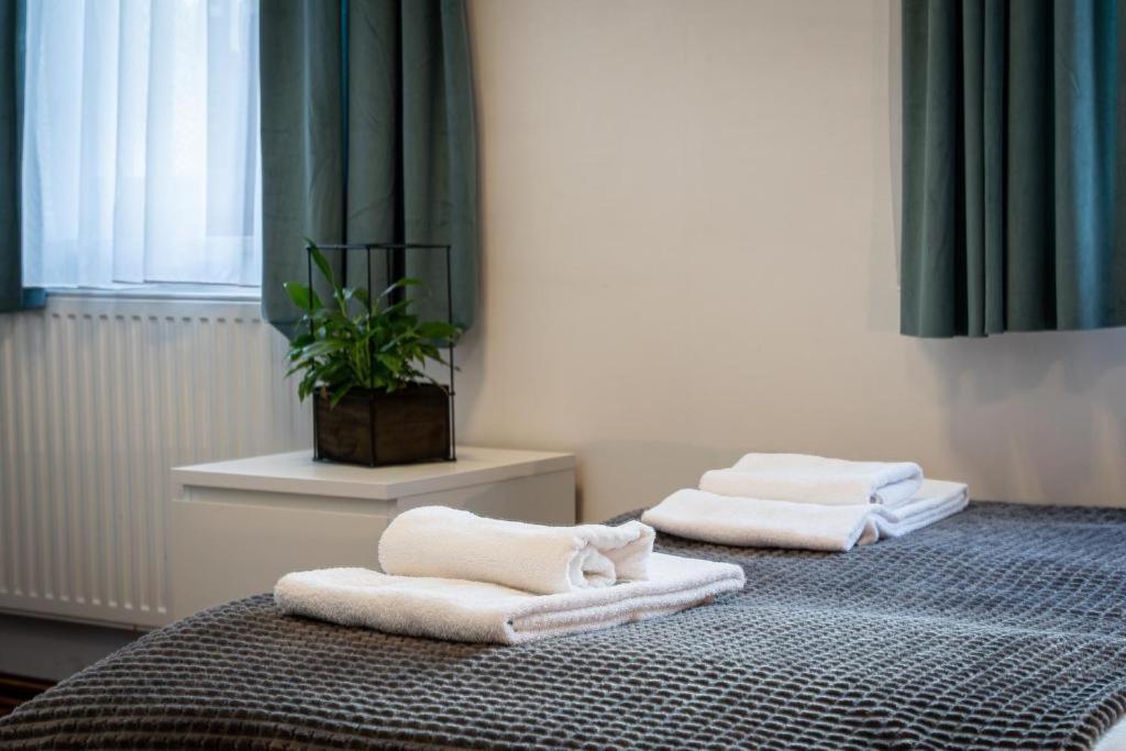 Bed and Breakfast Great Polonia Dwarf Breslavia Esterno foto